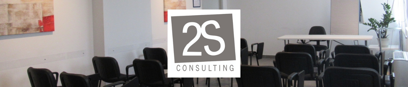  2S consulting